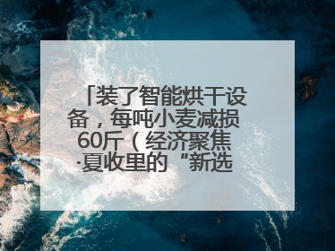 装了智能烘干设备，每吨小麦减损60斤（经济聚焦·夏收里的“新选手”）